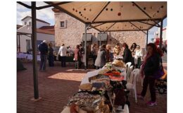 Her Şey Ayvalık Fidanları İçin