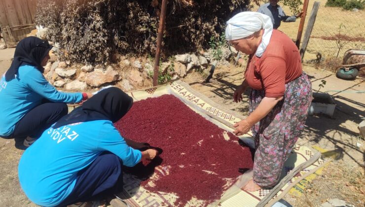 Bozyazı’da Vefa Projesi ile Yaşlılara Tam Destek