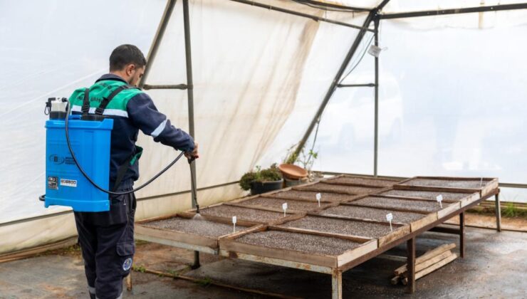 10 bin tıbbi ve aromatik bitki toprağa ekildi