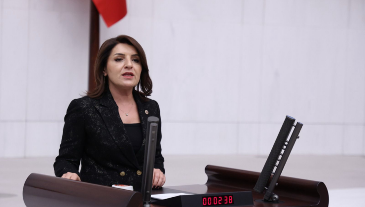 GÜLCAN KIŞ,“ŞAMPİYON AT” SMART LATCH SKANDALINI VE  GIDA DENETİM ZİNCİRİNİ MECLİS’E TAŞIDI