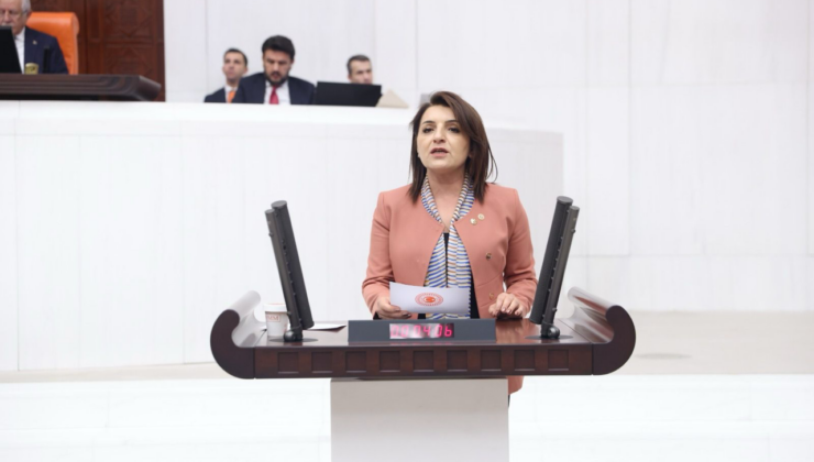 Gülcan Kış:“Savaşın etkisi marttan itibaren hissedilecek”