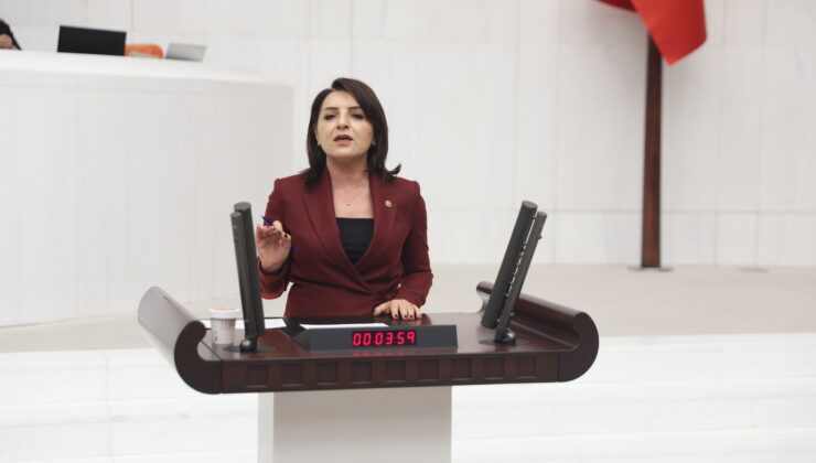 Kış: “Emekli pazara 500 lirayla çıkıyor, eli boş dönüyor”