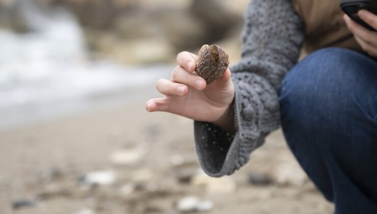MERSİN BÜYÜKŞEHİR’DEN BİR İLK: GENÇLER “BİYOMARATON” İLE DENİZİ KAYIT ALTINA ALIYOR