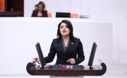 MERSİNLİ ÜRETİCİ BATTI, BAKANLIK CEVAP VERMEDİ