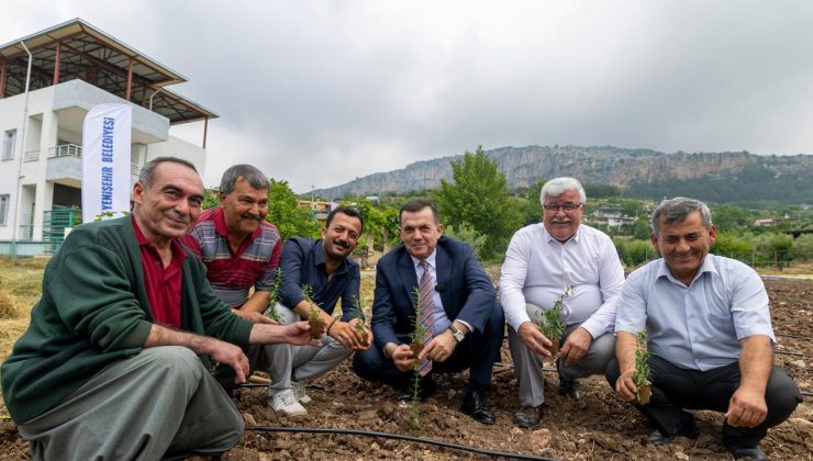Yenişehir’de katma değerli tarım dönemi