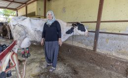 SÜT ÜRETİCİLERİNE ‘SOĞUK ZİNCİR’ DESTEĞİ