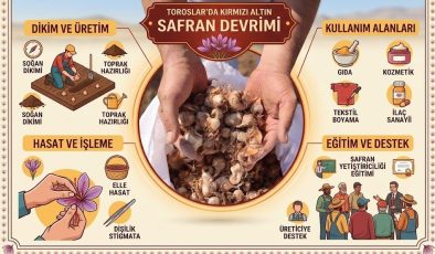 TOROSLAR’DA SAFRAN DEVRİMİ: “KIRMIZI ALTIN” ÇİFTÇİYE UMUT OLUYOR!