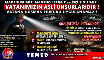 Mersin TEMED’den Ankara’da direnen maden işçilerine destek